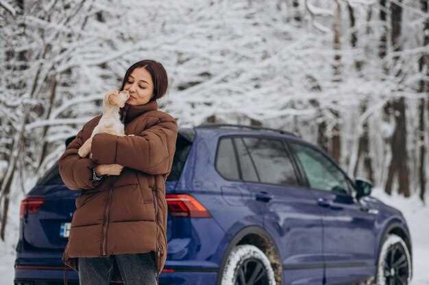 How to Prepare Your Car for Winter Driving